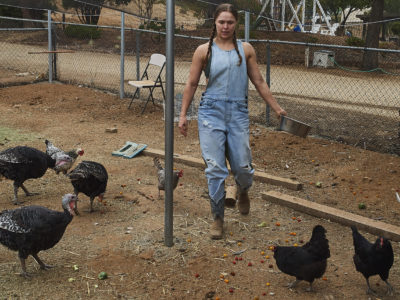 Ronda Rousey chickens