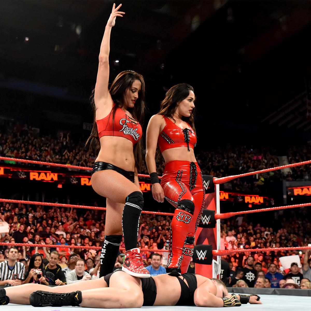 Nikki Bella, Brie Bella (source: WWE)