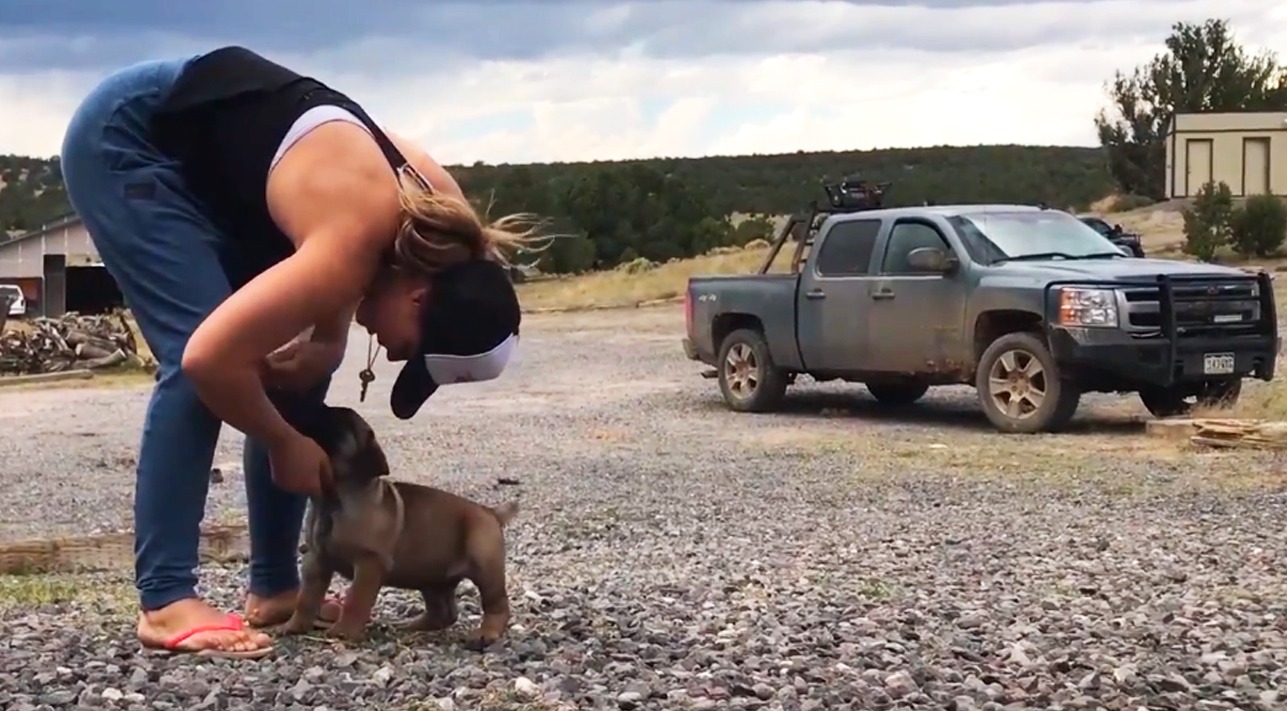 Ronda Rousey's Loyal Companion: The Story of Chunk's Rescue