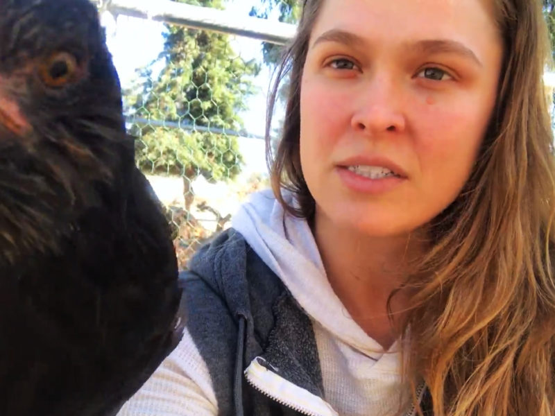 Ronda Rousey Browsey Acres chicken