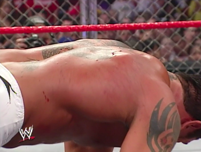 Batista (source: WWE)