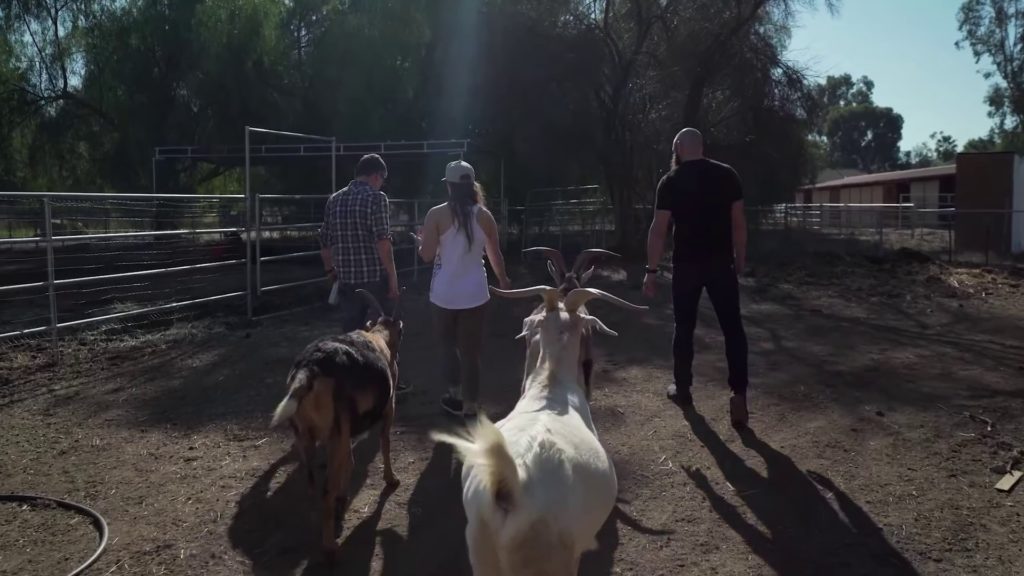 Steve-O, Ronda Rousey, Travis Browne at Browsey Acres