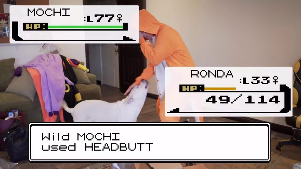 Mochi vs. Ronda Rousey in a Pokemon battle for the ages