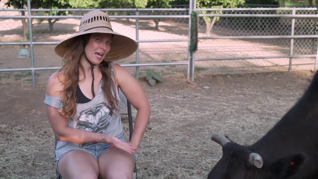 "Rowdy" Ronda Rousey, Mother of Cows