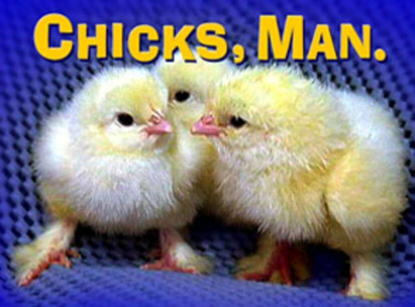 Chicks, man. (source: NBCUniversal)